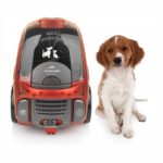 ETA Andare Animal 149390020